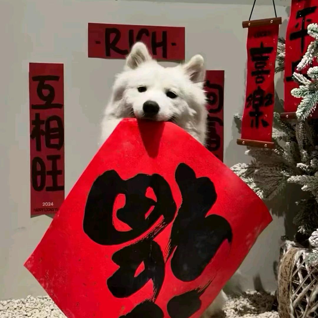 叶子包头像