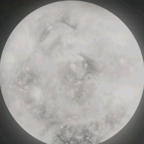 沉仙