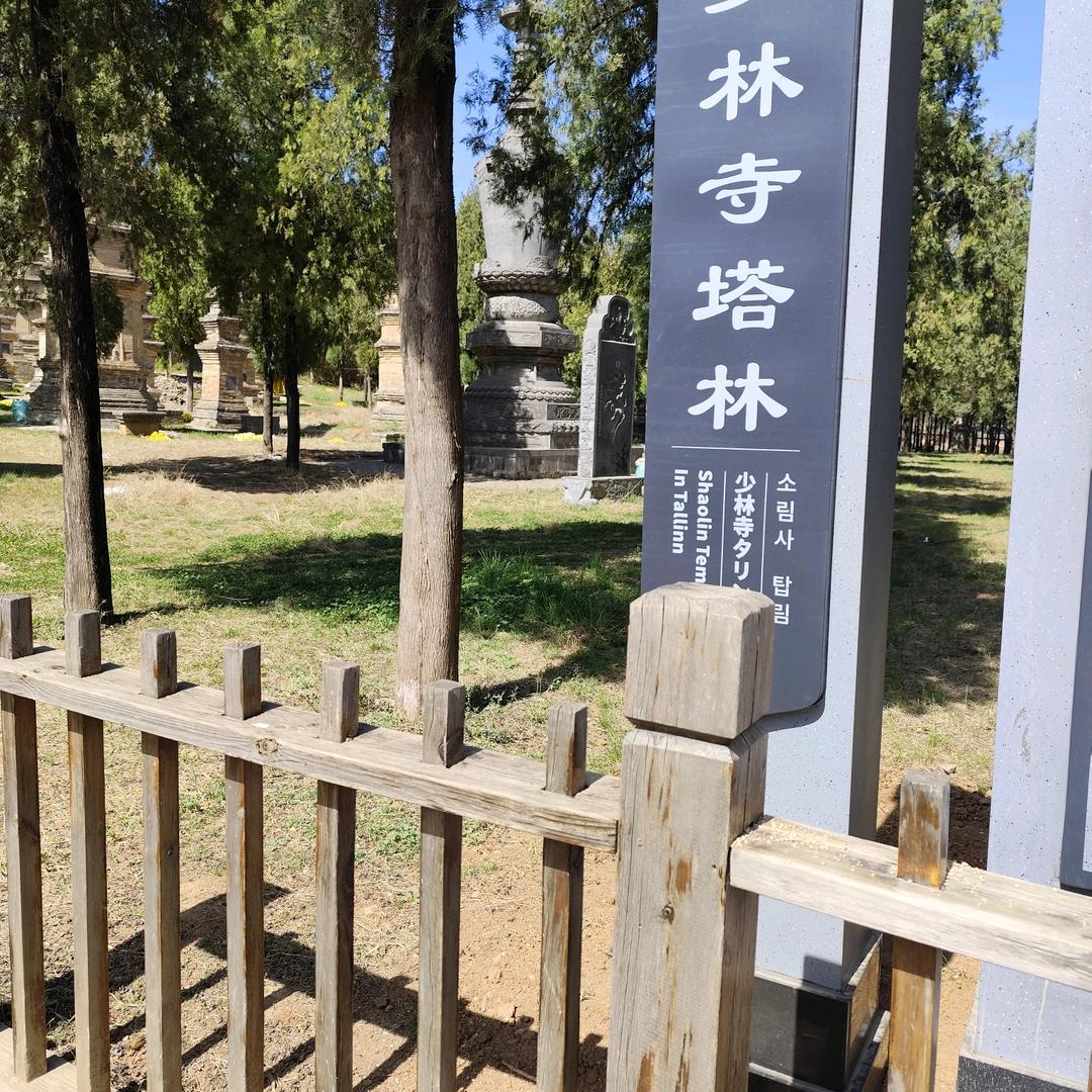 明天会更好