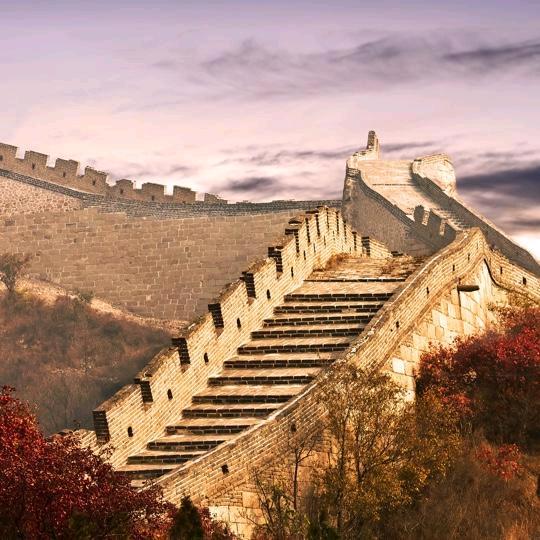 动之以情²⁷⁸