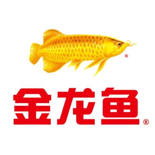 金龙鱼（阿杜）