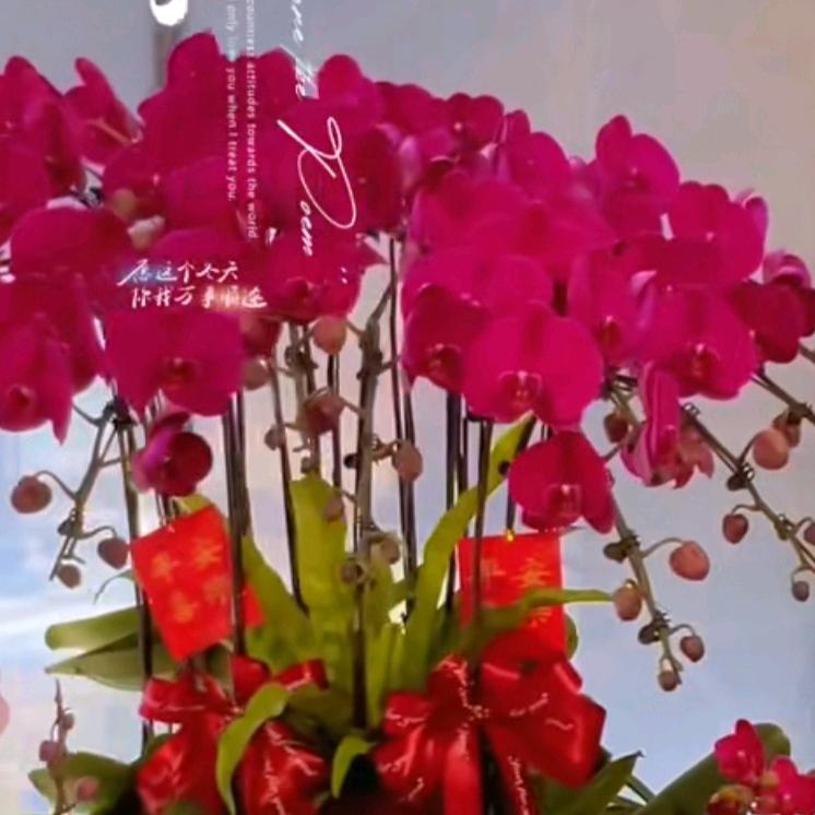 吉祥