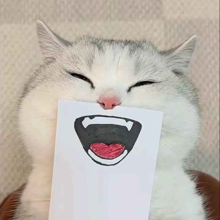 干冰可乐.