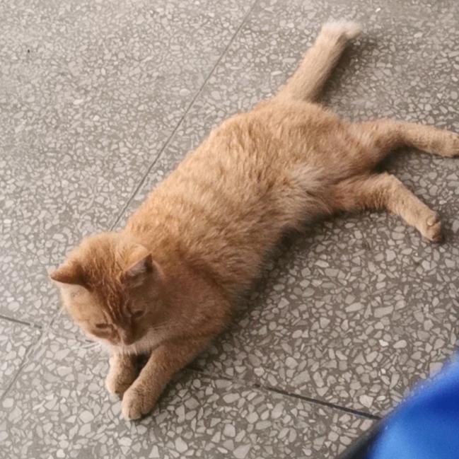 冰淇淋的夏天