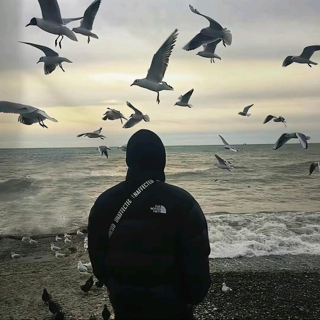 A海海海