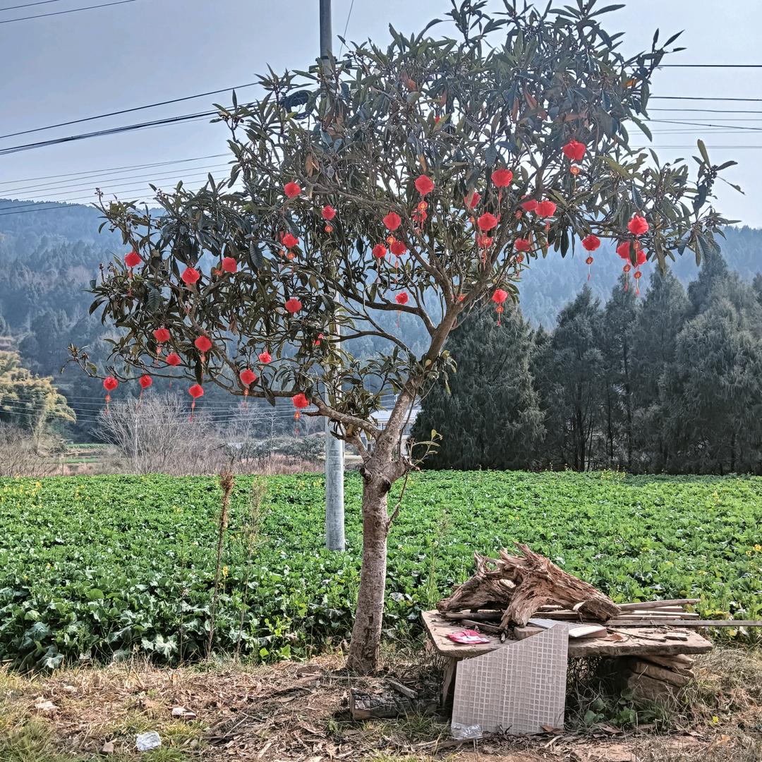 成都专业贴砖防水师傅