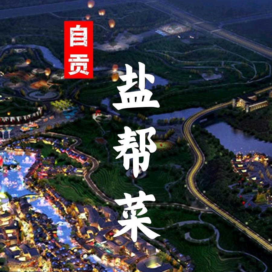 味蕾研究协会会长✈️