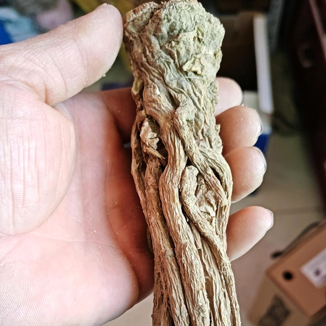 岷县特产当归人