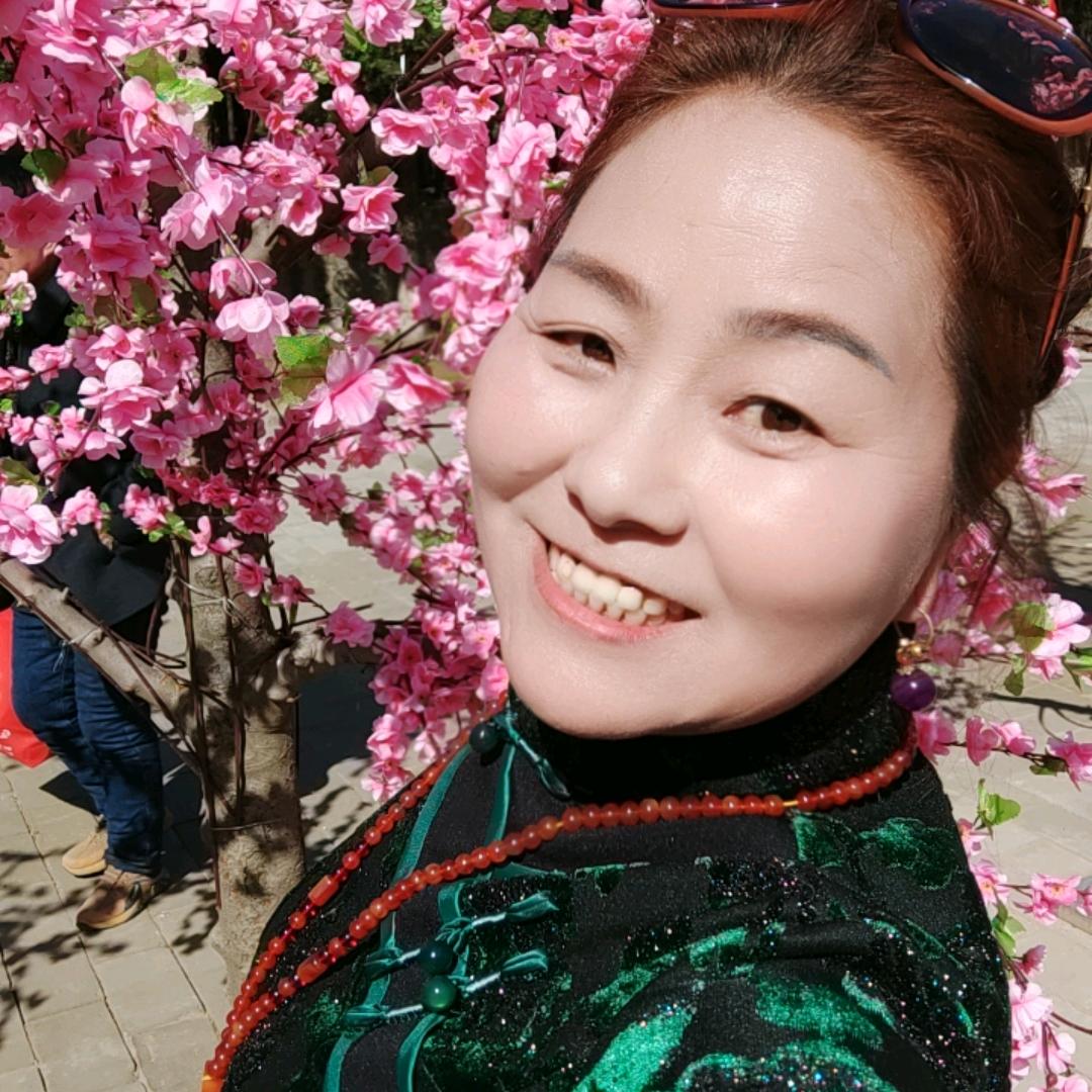 快乐的灵宝人（不定时开播）