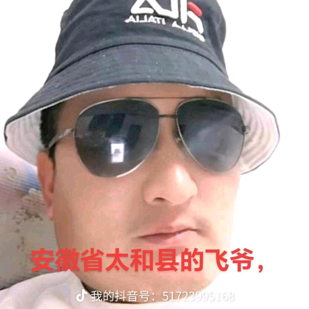 疯狂的豹子