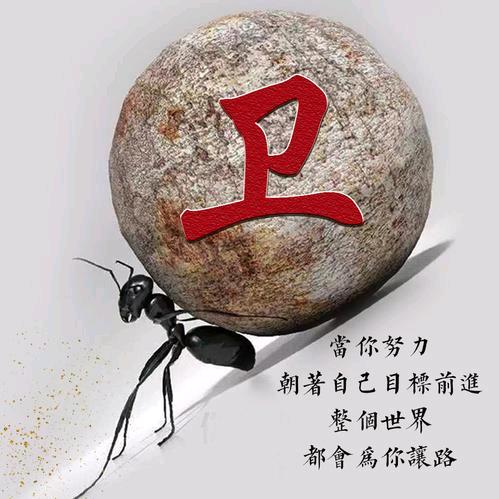 小卫哥