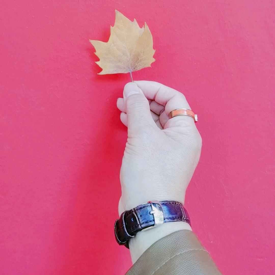 余生好好过(拒私聊)