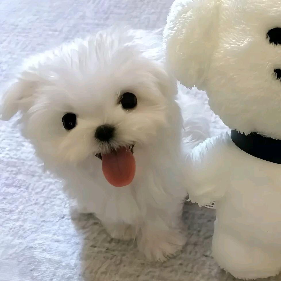 圈圈圈圈圈儿