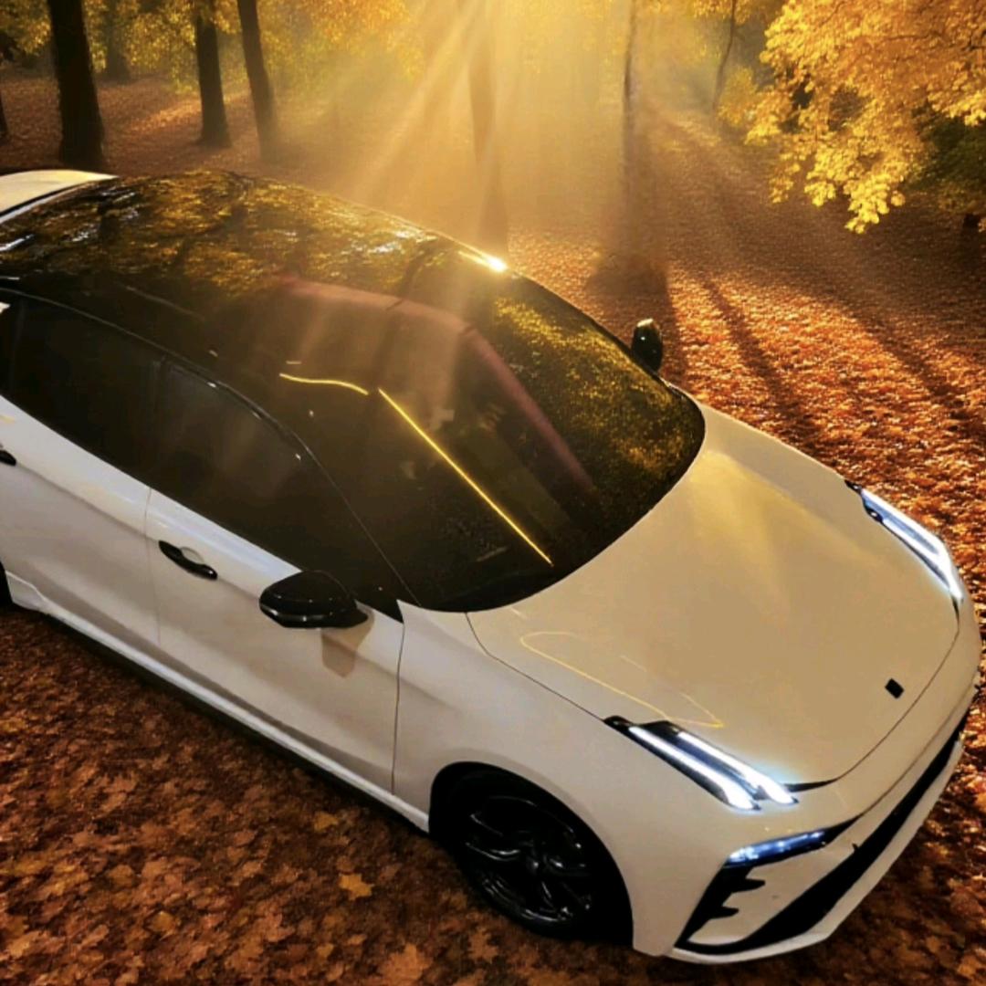 ℒᵕ᷄ɞℯ⃝半颗糖丶