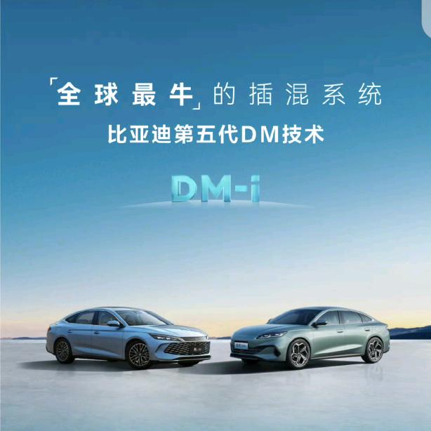林子大了