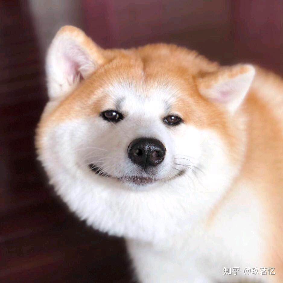 夏至未至