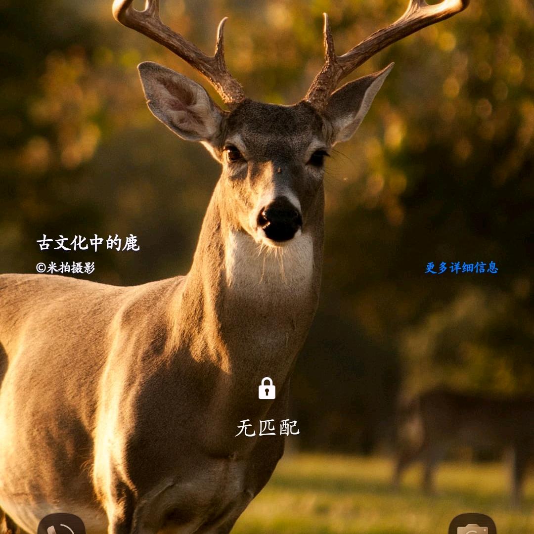 月明