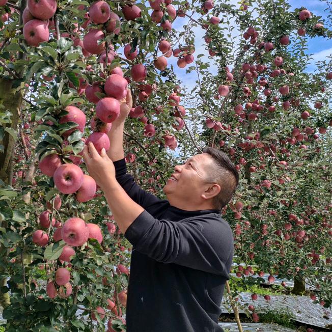 杨佬大农特产品