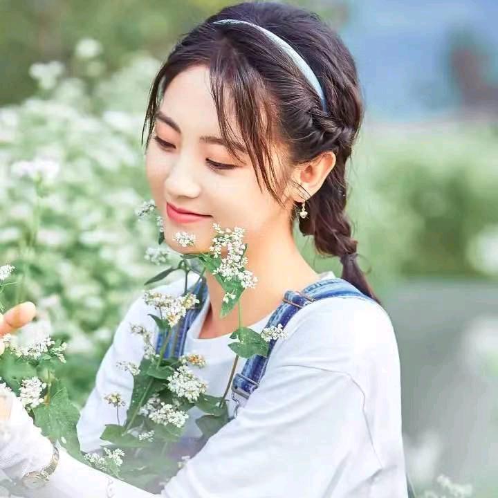 张芬