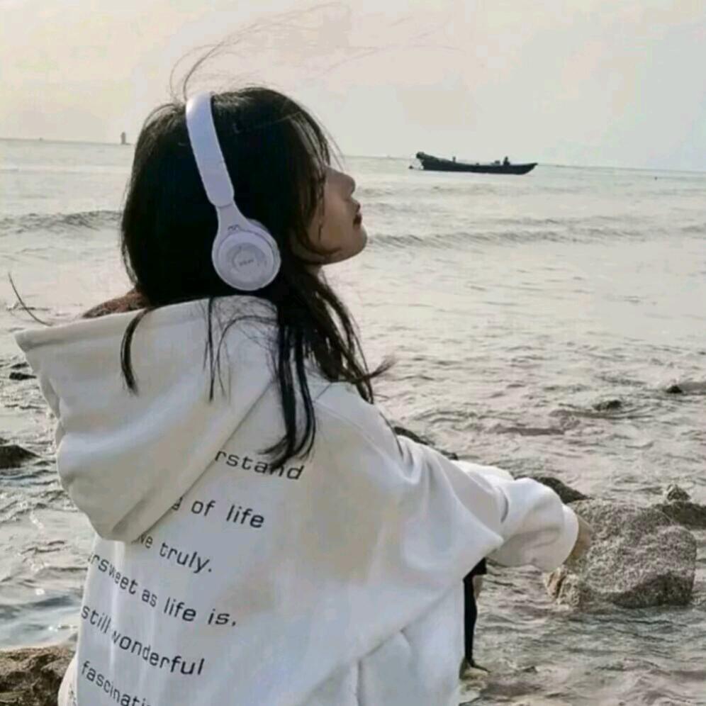 小月月