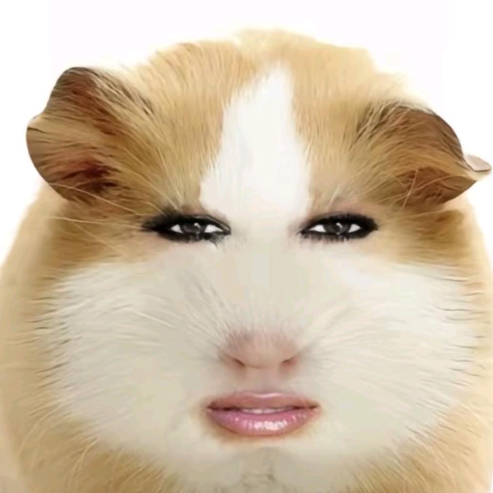 动点