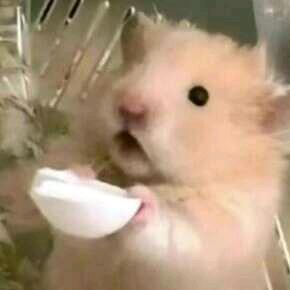 揽天天✺◟(∗❛ัᴗ❛ั∗)◞✺