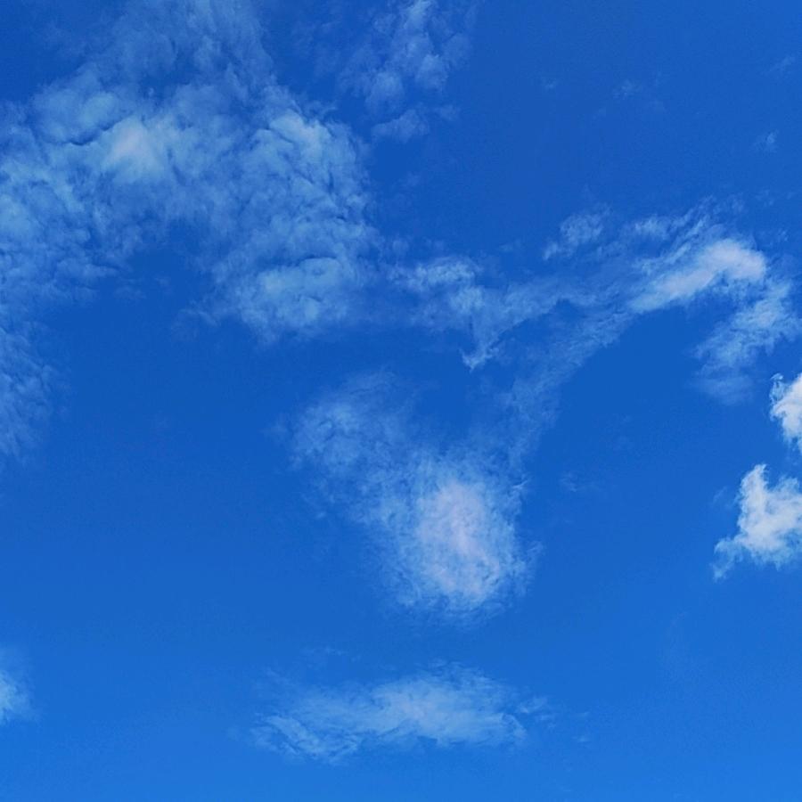 @ᭁ: 🥀⃟错把᭄敷衍ꦻ当承诺ꦿᭁ: