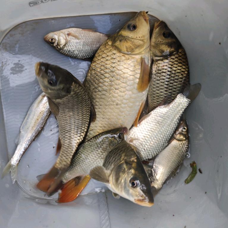 ✨春夏秋冬又一春✨