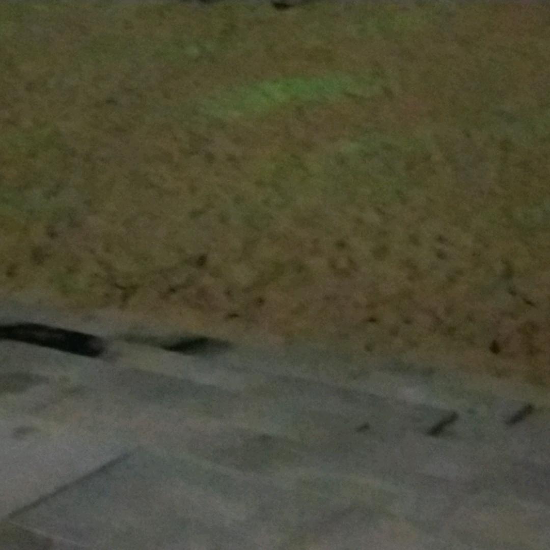 华无不朴