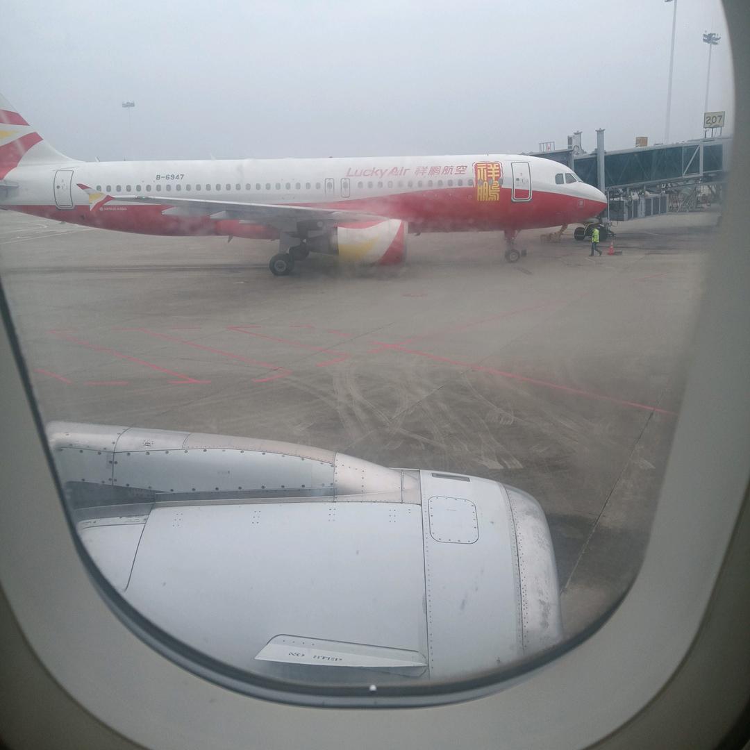 龙飞凤舞