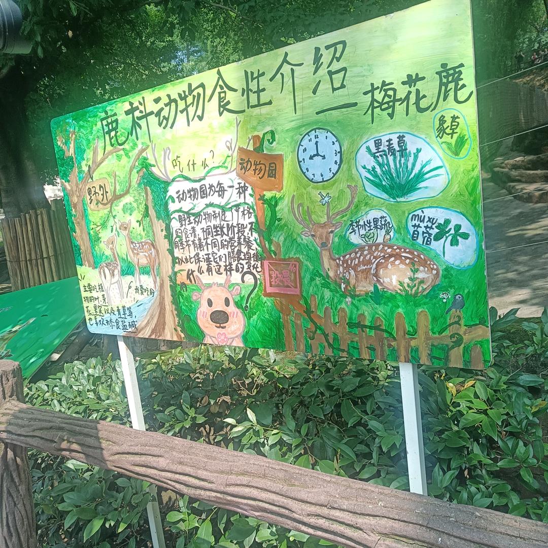 只是没有如果