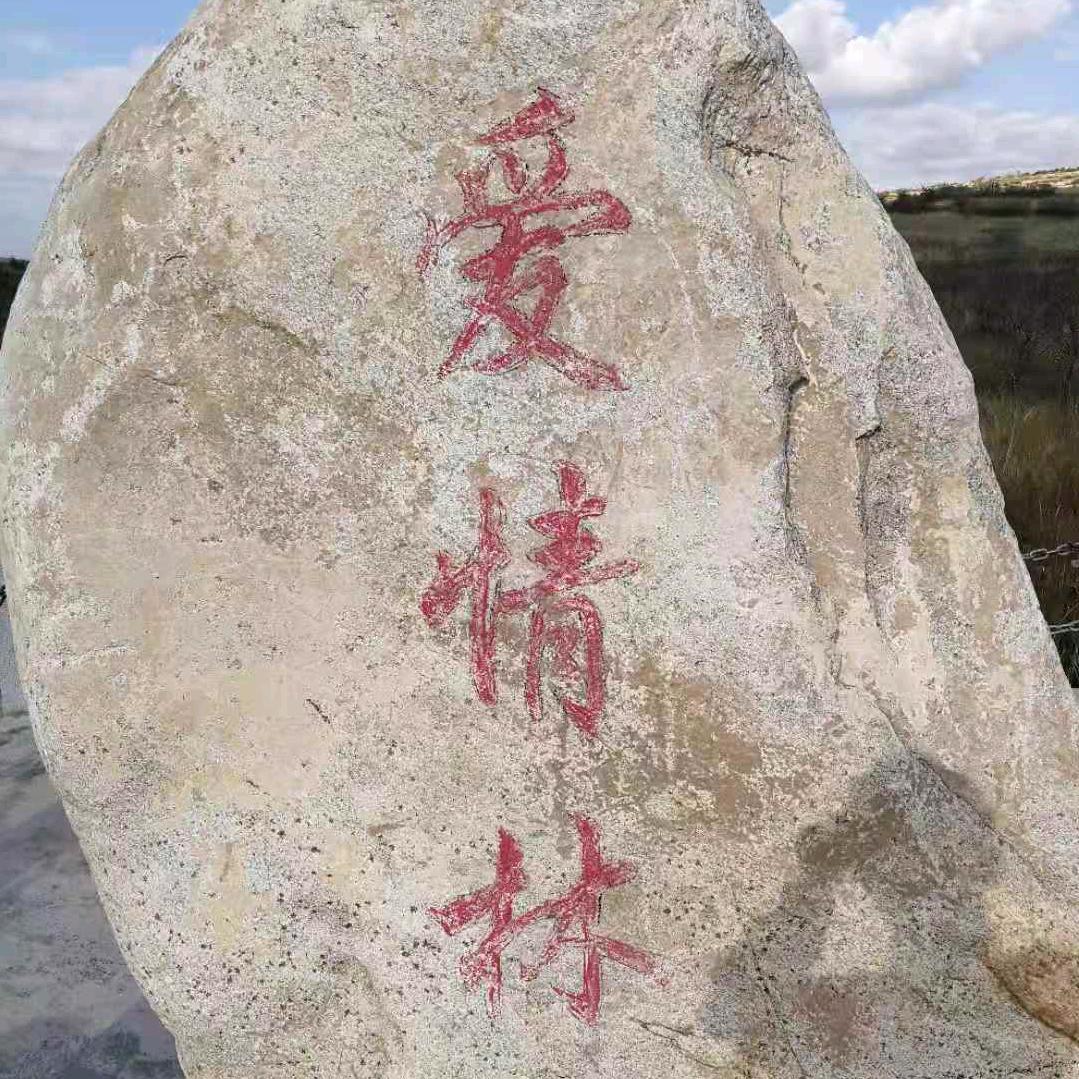新的开始