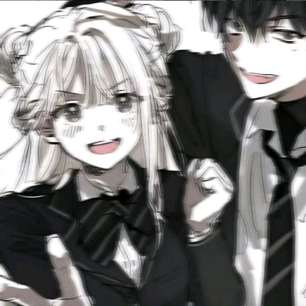 ⚜星星灭了