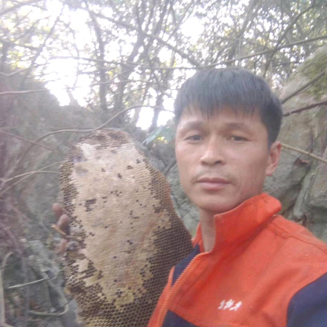 幸运常在
