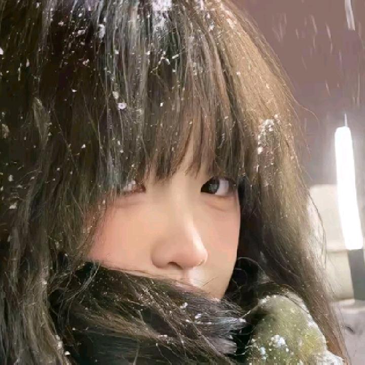 小狗在等你o(一︿一+)o