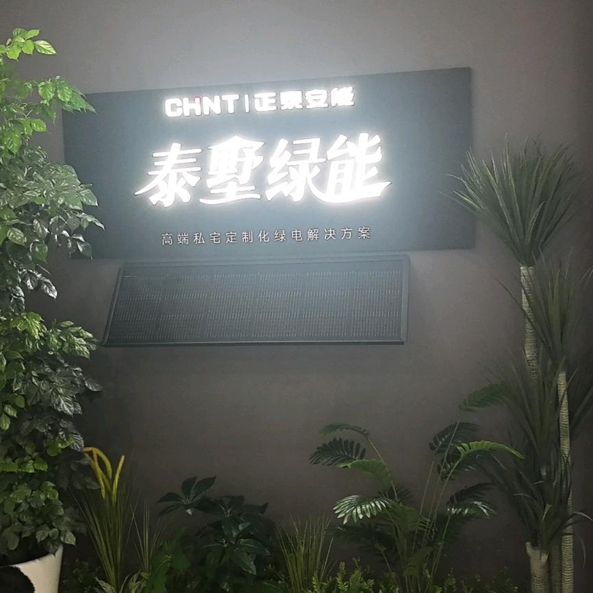 正泰安能