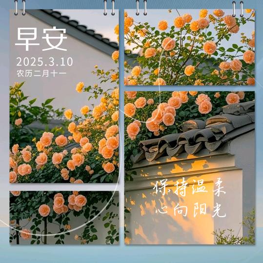 潮流姐妹
