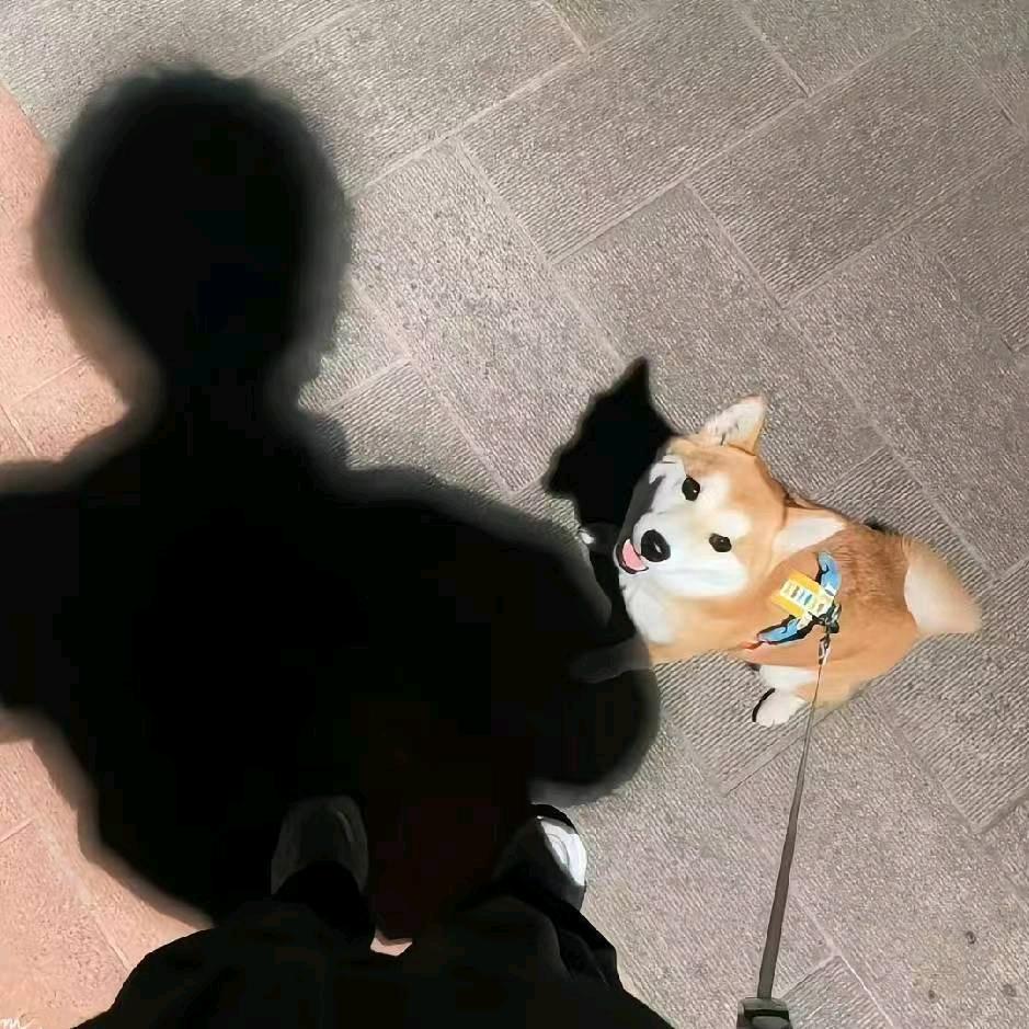 槐葵