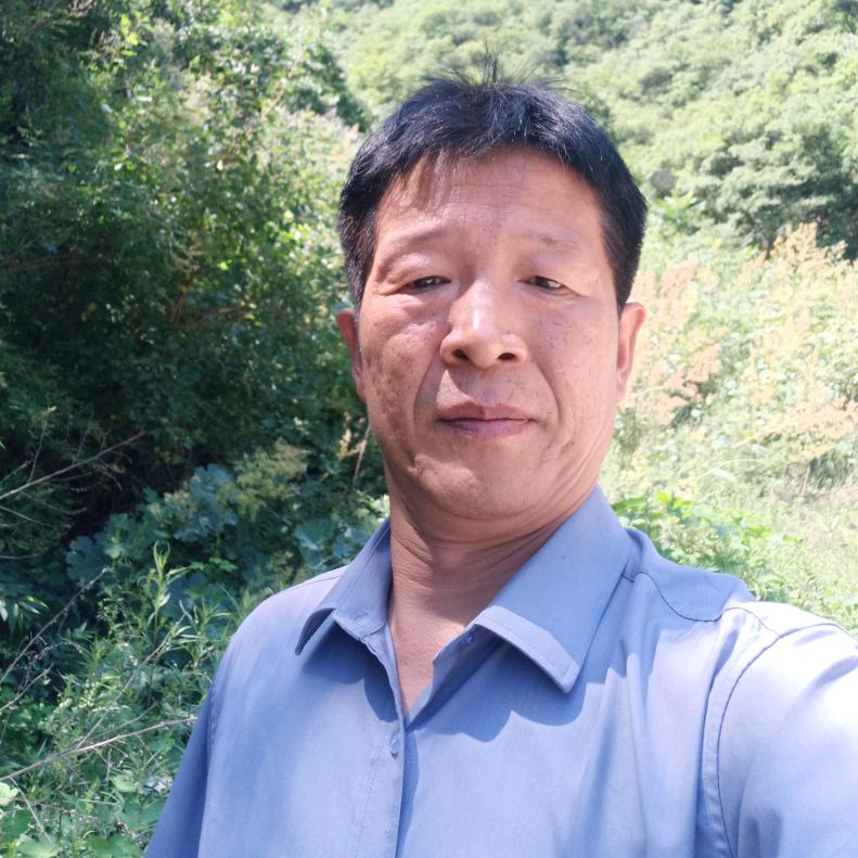 顶杰活鸡现杀