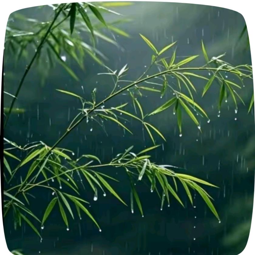 慧