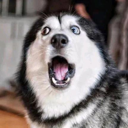 瘦瘦科技