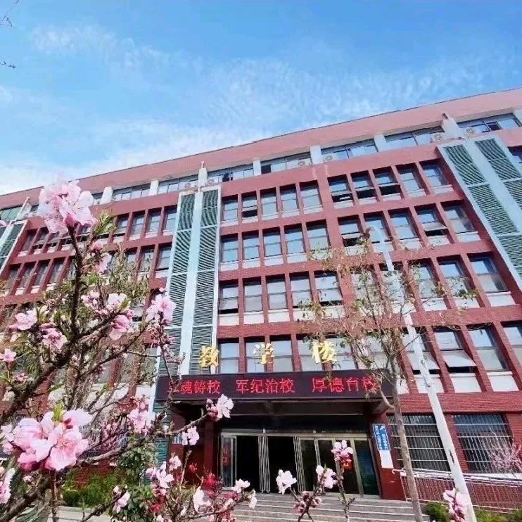 河南统招大专 杨主任