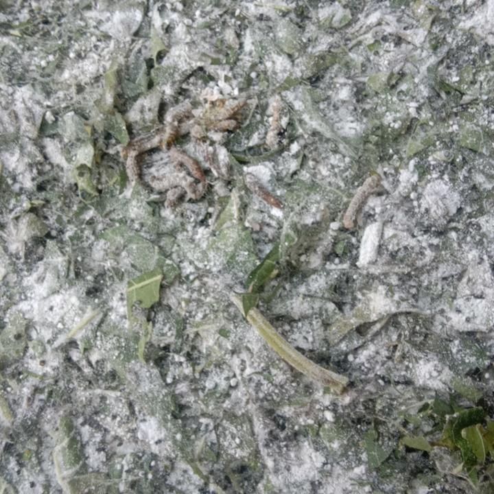 张瑞群