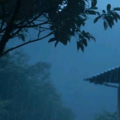 小小