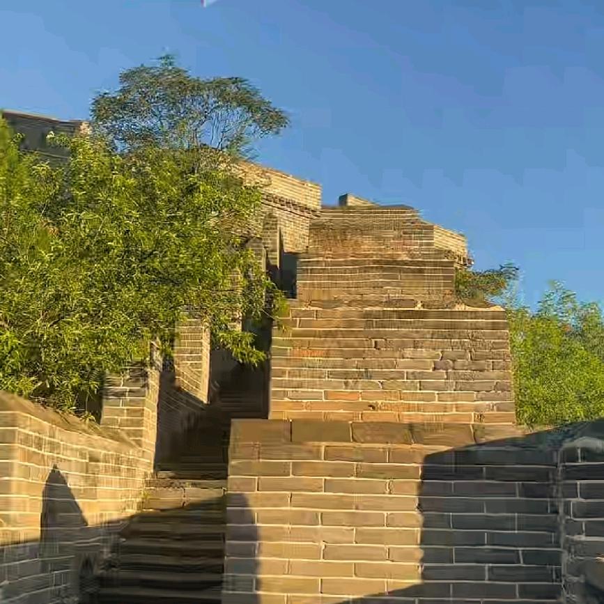无悔