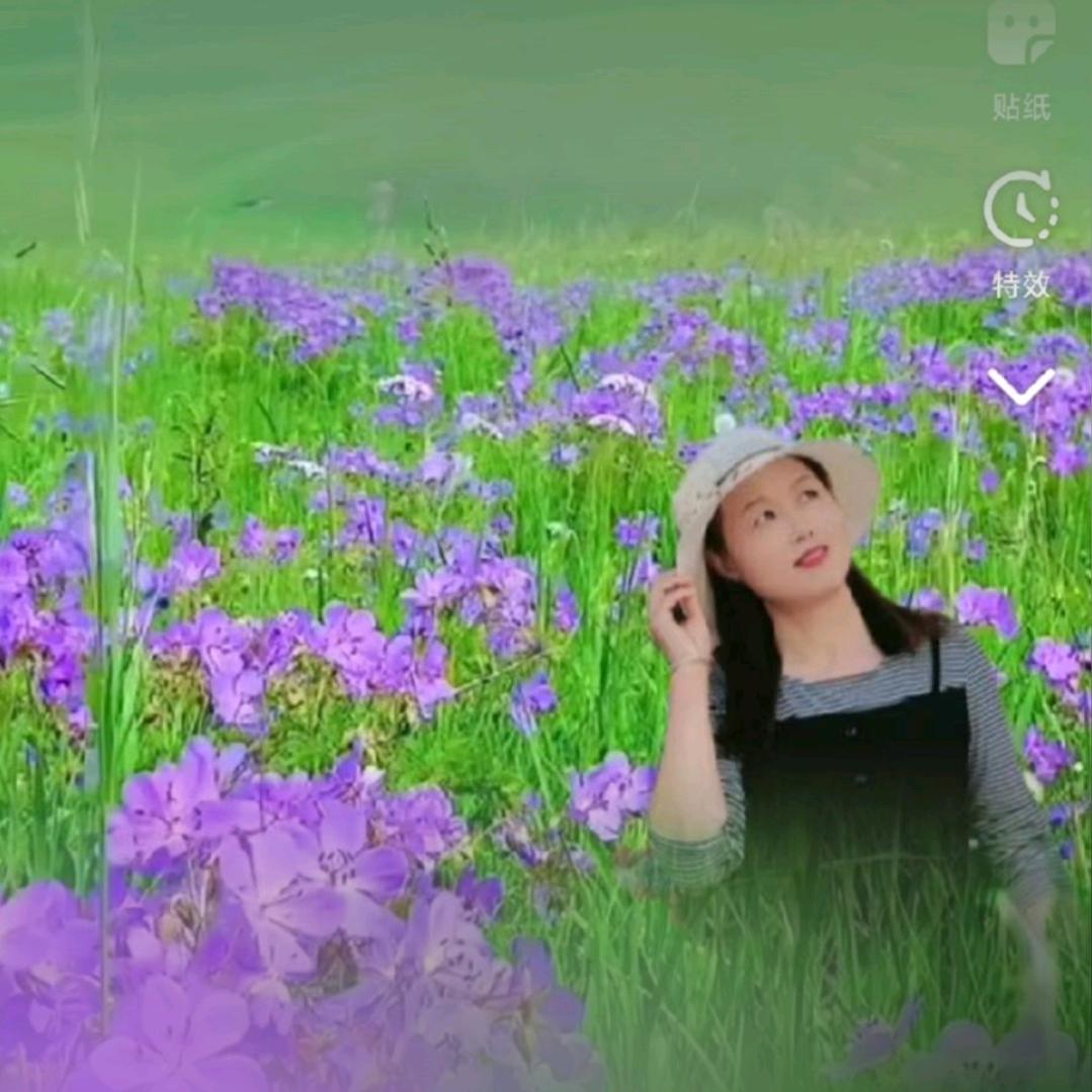 梅子🌹🌹🌹