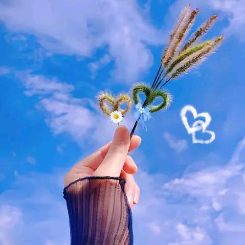 葑💫鈊💞鎻💔愛