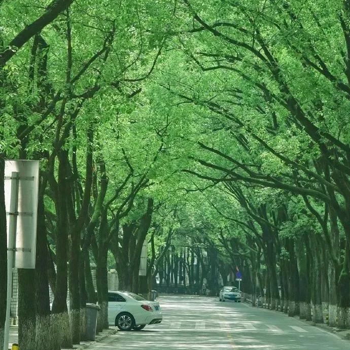 实话实说，勇敢发声