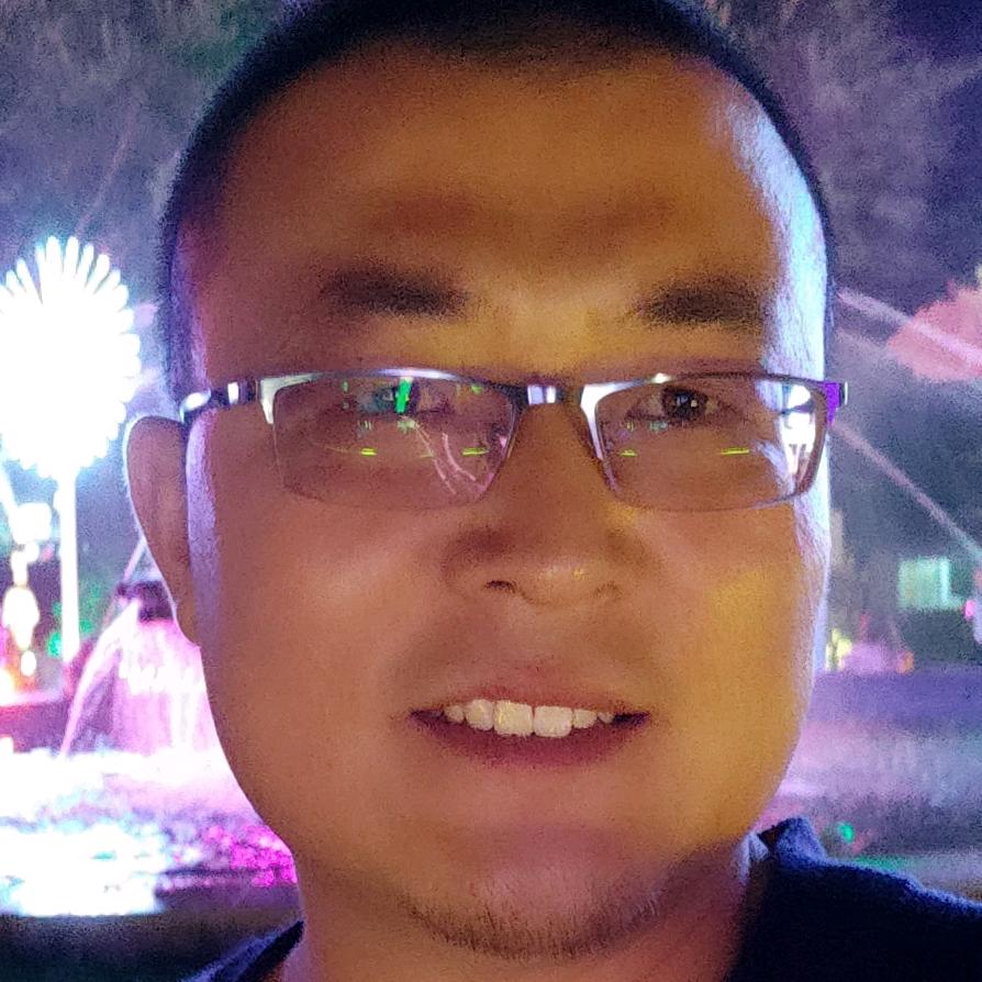 #北美冬青#青州种植基地