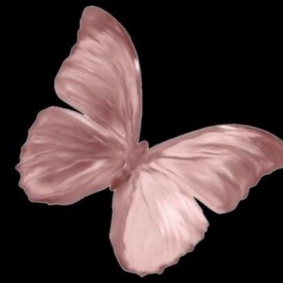 地瓜（战损版）